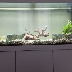 bac asie du sud est  240 litres