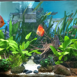 Publication de mikey