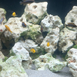 Publication de mikey