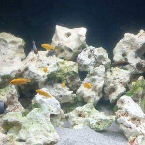 Publication de mikey