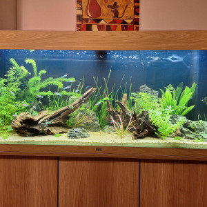 Publication de MarieJouc