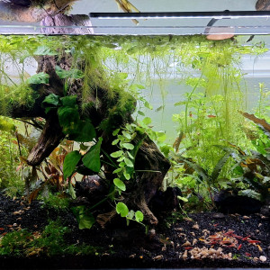 Propriété de l abonné 160l