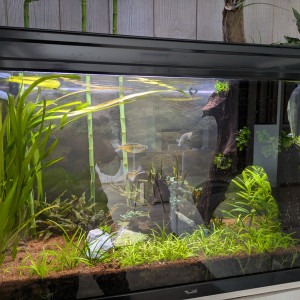 Publication de marie15073