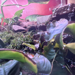 Publication de ArtemusKlegg