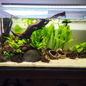 Publication de Daviid73