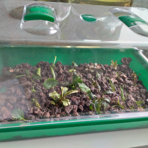 Publication de lolo95