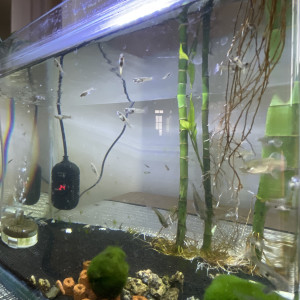 Publication de K-CHIKYULAB