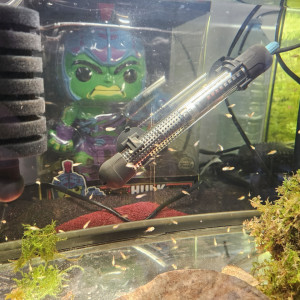 Publication de Neyfun