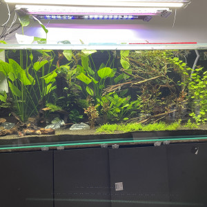 Publication de Scylla_59