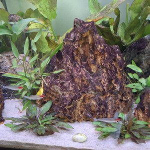 Publication de Guiguidu57