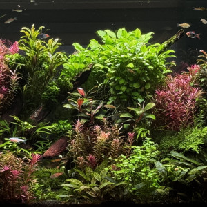 Publication de Blueb17