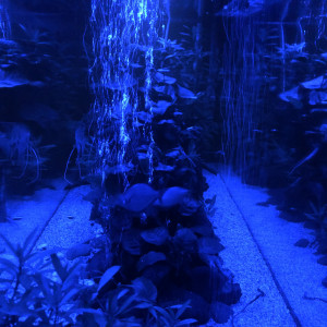 Publication de FabulousFab