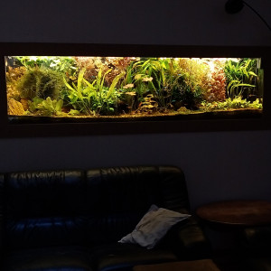 Publication de STK54