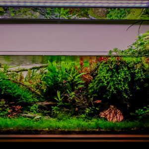 Chiriros wrgb2 80 pro