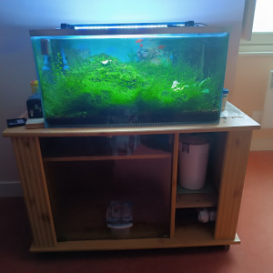 A Vendre cause Déménagement