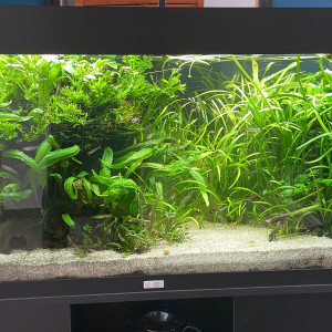 Publication de Molac