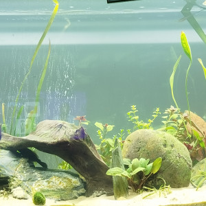 Publication de Dessin72