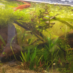 Publication de lolo95