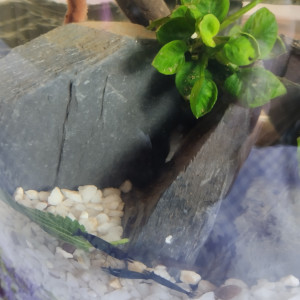 Publication de lolo95