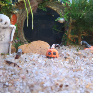 Publication de ArtemusKlegg