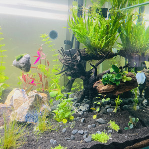 Publication de LaRenardouce