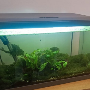 Aquarium Inwa confort 60