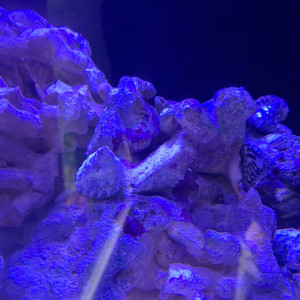 Publication de Guiguidu57