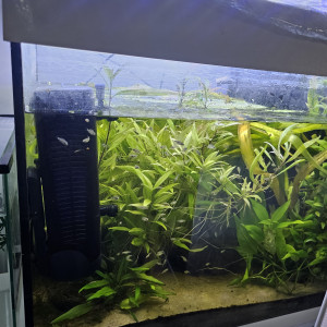 Aquarium blanc 136L opportunité !
