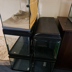 Cuves 60L pas cher !