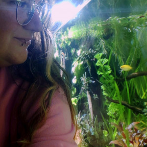 Publication de PtiteNoli