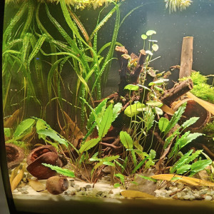 Publication de Gregbo