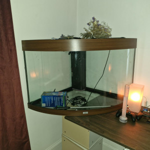 Aquarium d'angle 200 litre prêt à l'emploi