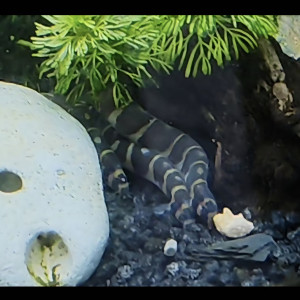 Publication de StephL