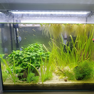 Publication de Jacky1982