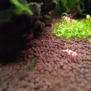 Publication de Patriciah2o