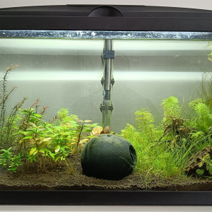 Publication de Jacky1982