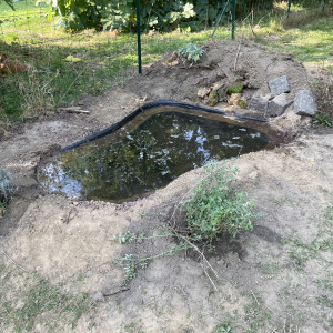 Publication de Scylla_59