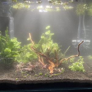 Publication de Scylla_59