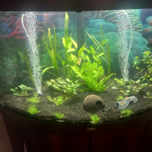 Publication de Jpg1313