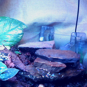 Publication de ArtemusKlegg