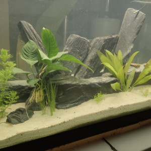 Publication de Lionel28