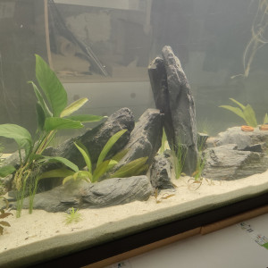 Publication de Lionel28