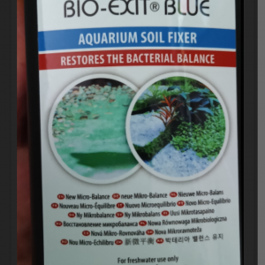 Publication de Domovoi