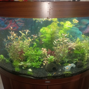 Publication de Jpg1313