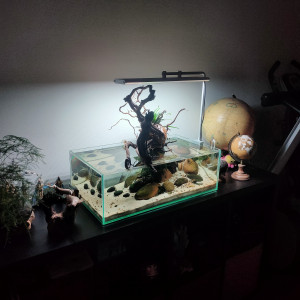 Publication de JulienTt