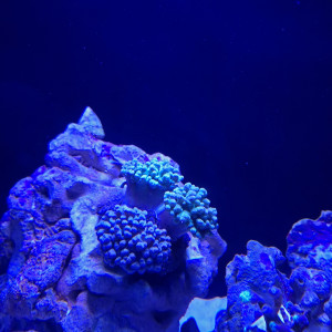 Publication de Guiguidu57