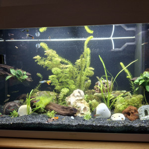 Publication de StephL