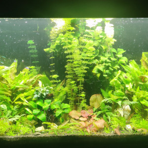 Publication de laure-poussinsky