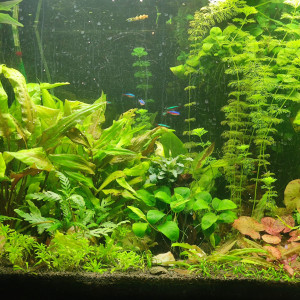 Publication de laure-poussinsky