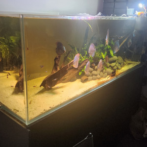 Publication de Benji_971